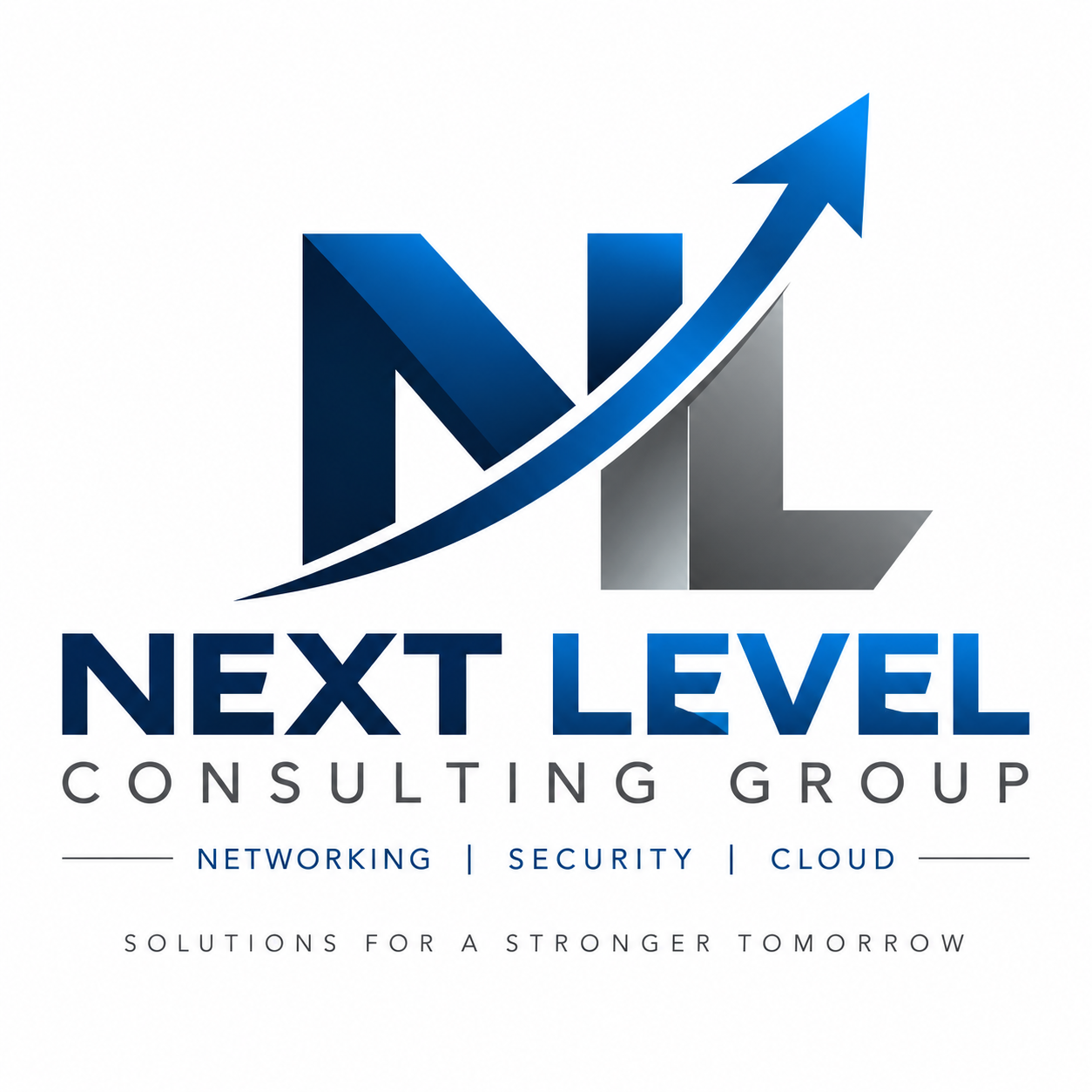 Next Level Consulting Group logo